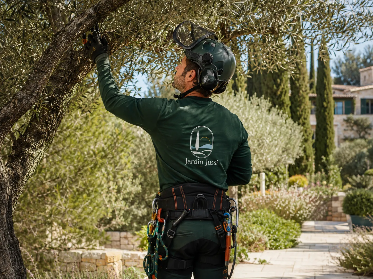 Jardin Jussi réalisant une intervention de taille d’arbre à Fuveau
